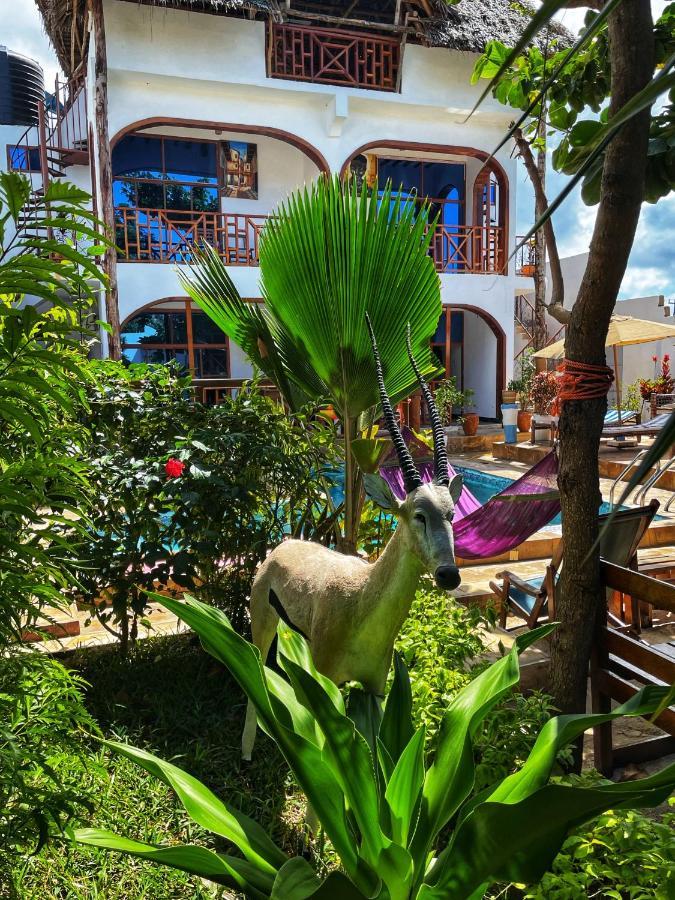Utulivu Bungalow Nungwi Exteriér fotografie